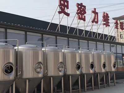 濉溪精酿啤酒设备厂—如何判断精酿啤酒设备的密封件需要更换？